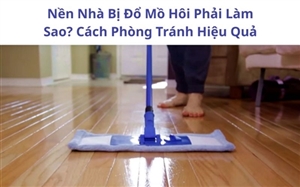 Nền Nhà Bị Đổ Mồ Hôi Phải Làm Sao? Cách Phòng Tránh Hiệu Quả Nền Nhà Bị Đổ Mồ Hôi Phải Làm Sao? Cách Phòng Tránh Hiệu Quả